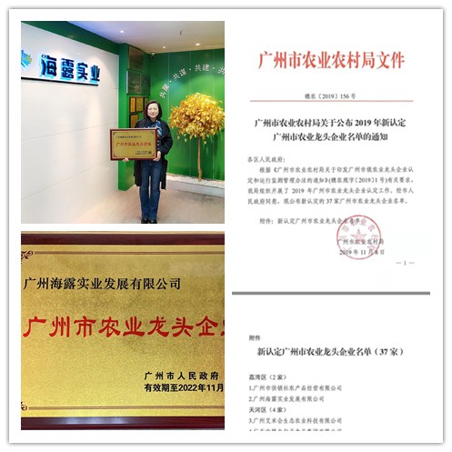 南宫电竞-不凡成就非凡,相信品牌的力量