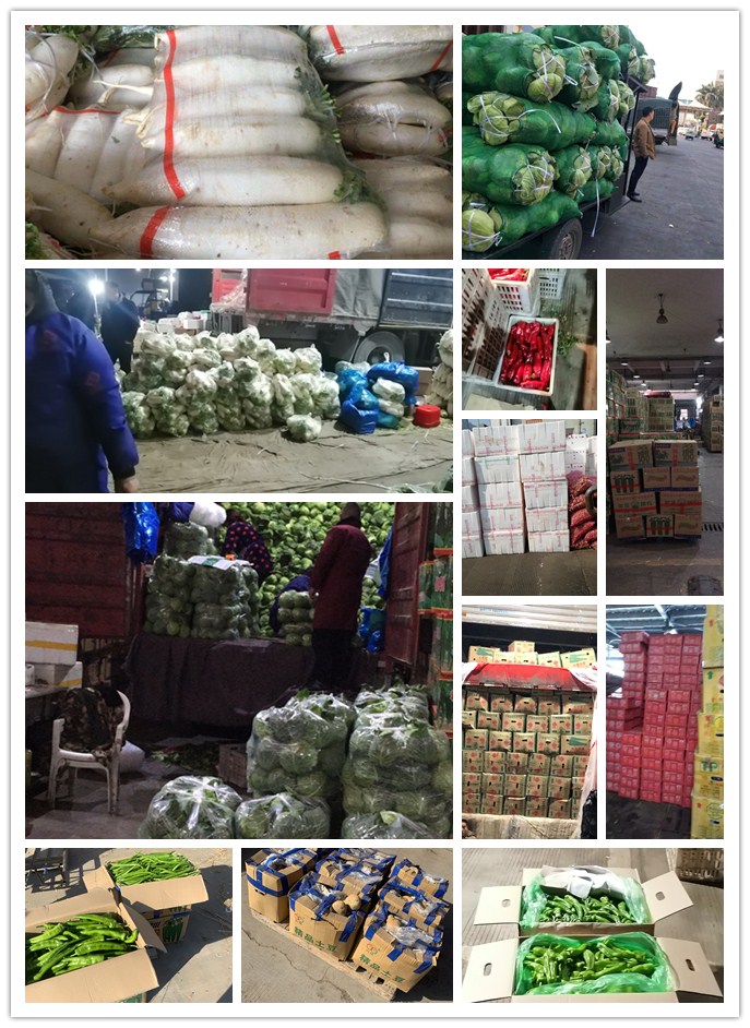 南宫电竞-不凡成就非凡,相信品牌的力量