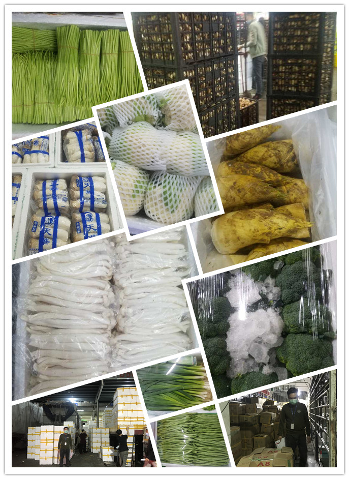 南宫电竞-不凡成就非凡,相信品牌的力量