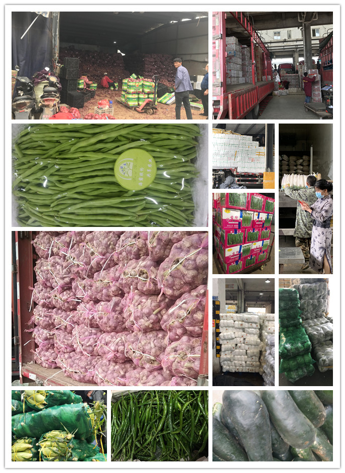 南宫电竞-不凡成就非凡,相信品牌的力量