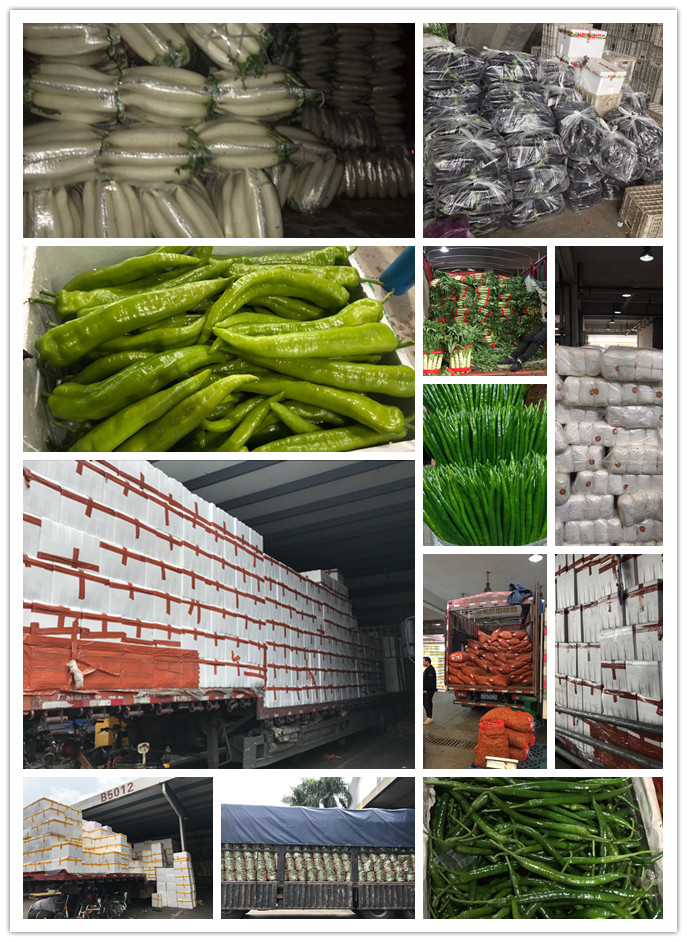 南宫电竞-不凡成就非凡,相信品牌的力量