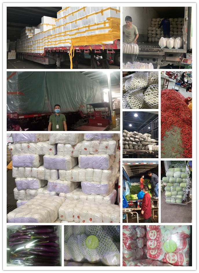 南宫电竞-不凡成就非凡,相信品牌的力量