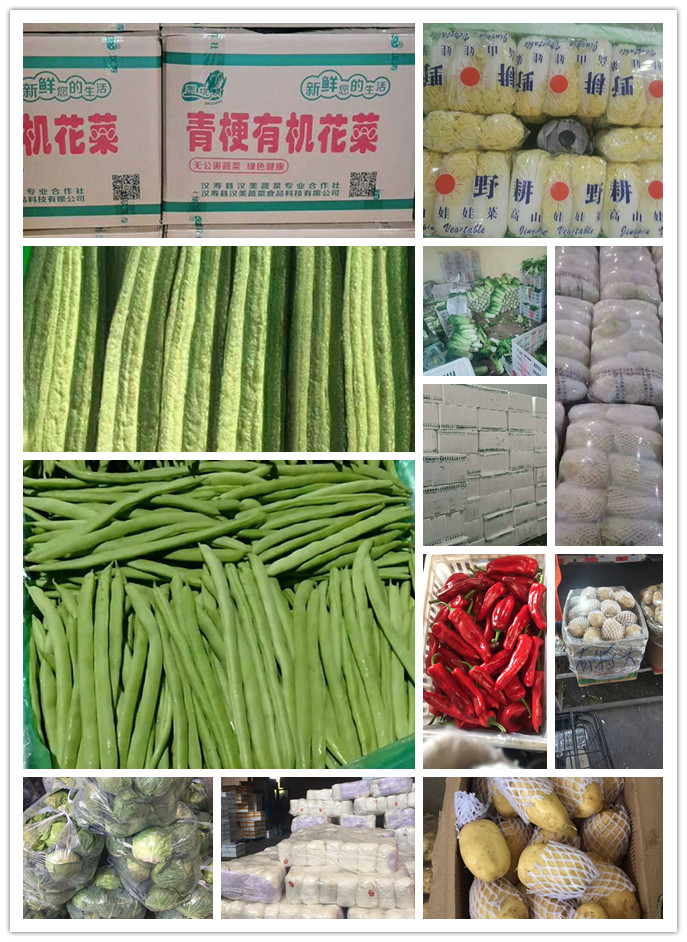 南宫电竞-不凡成就非凡,相信品牌的力量