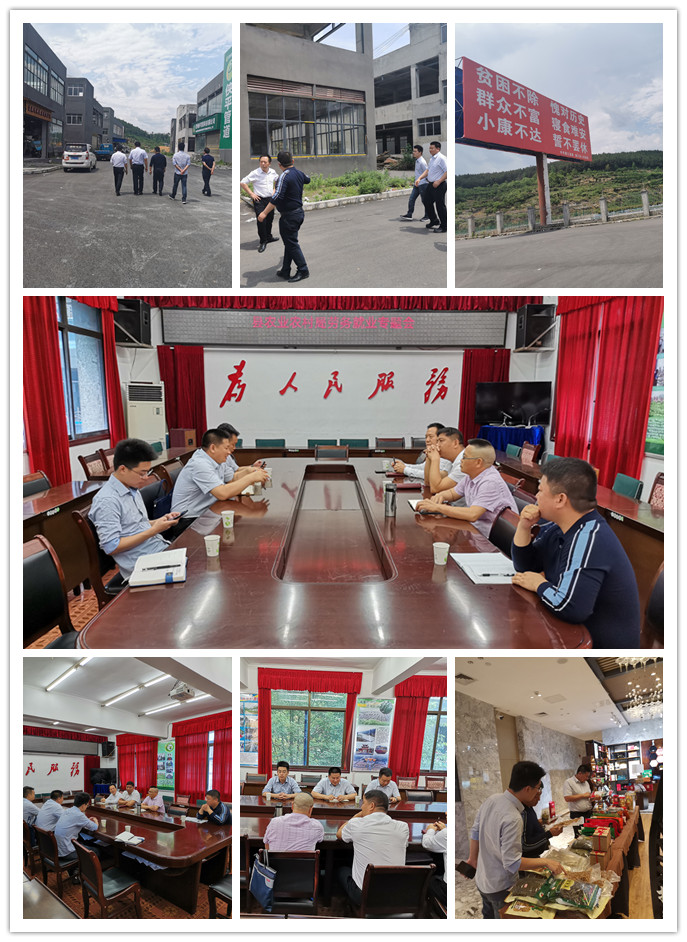 南宫电竞-不凡成就非凡,相信品牌的力量