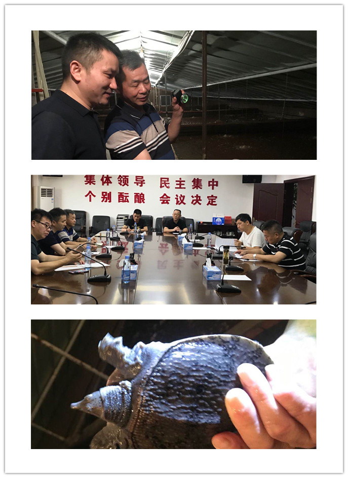 南宫电竞-不凡成就非凡,相信品牌的力量