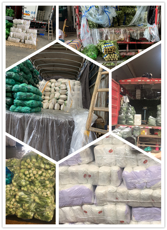 南宫电竞-不凡成就非凡,相信品牌的力量