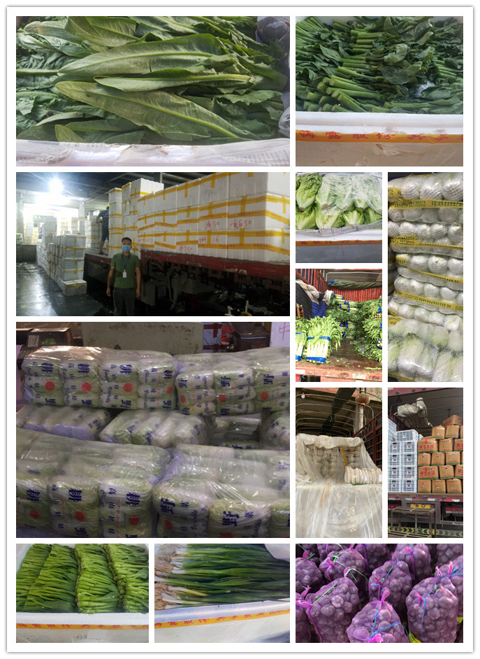 南宫电竞-不凡成就非凡,相信品牌的力量