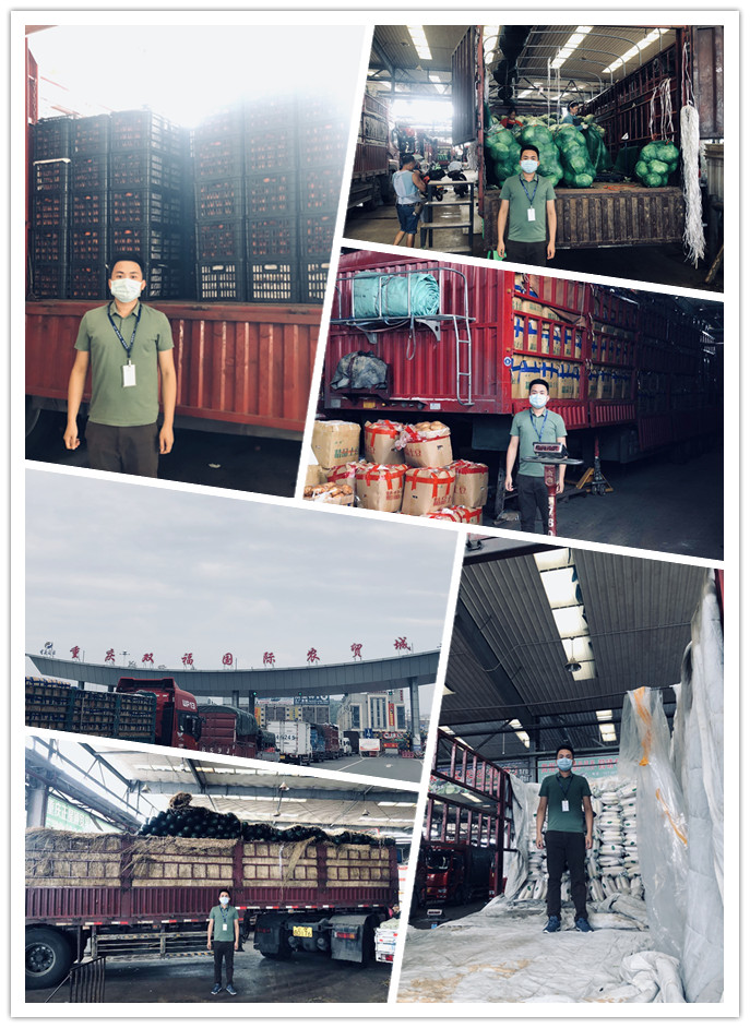 南宫电竞-不凡成就非凡,相信品牌的力量