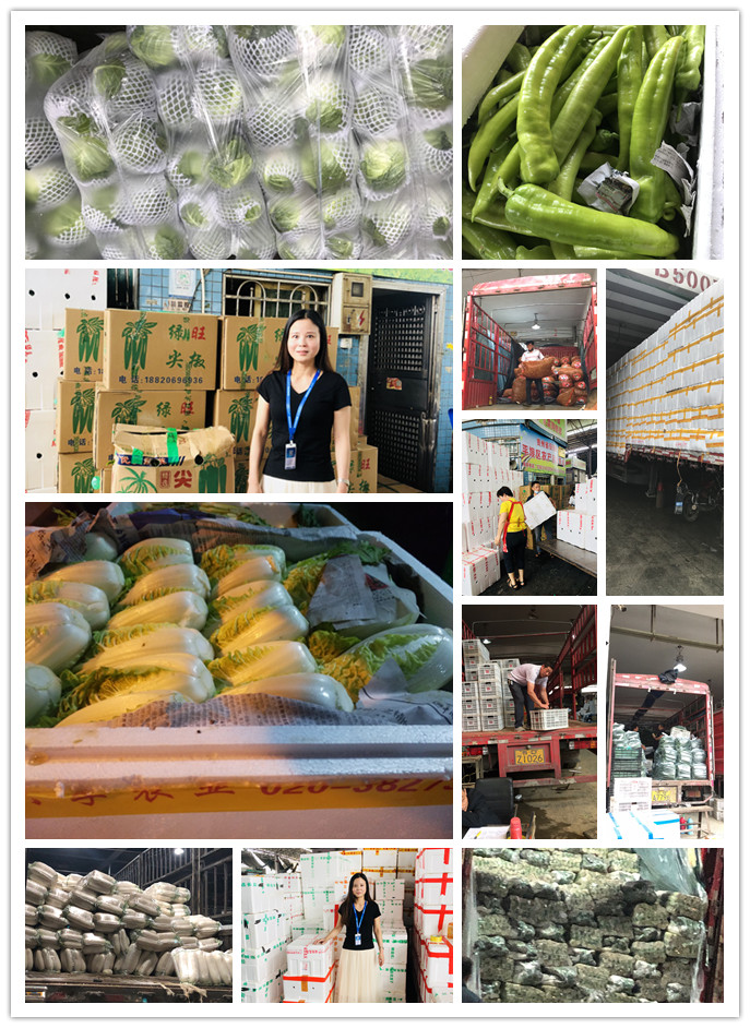 南宫电竞-不凡成就非凡,相信品牌的力量