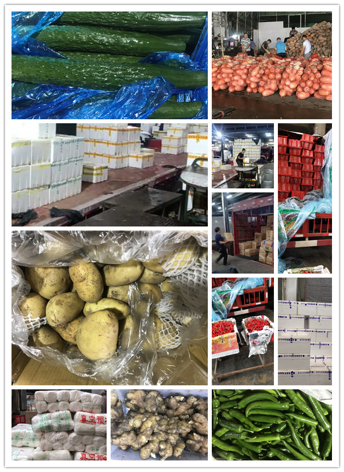 南宫电竞-不凡成就非凡,相信品牌的力量