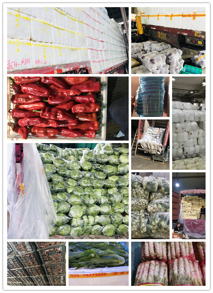 南宫电竞-不凡成就非凡,相信品牌的力量