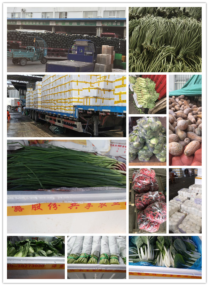南宫电竞-不凡成就非凡,相信品牌的力量
