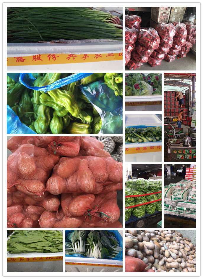 南宫电竞-不凡成就非凡,相信品牌的力量