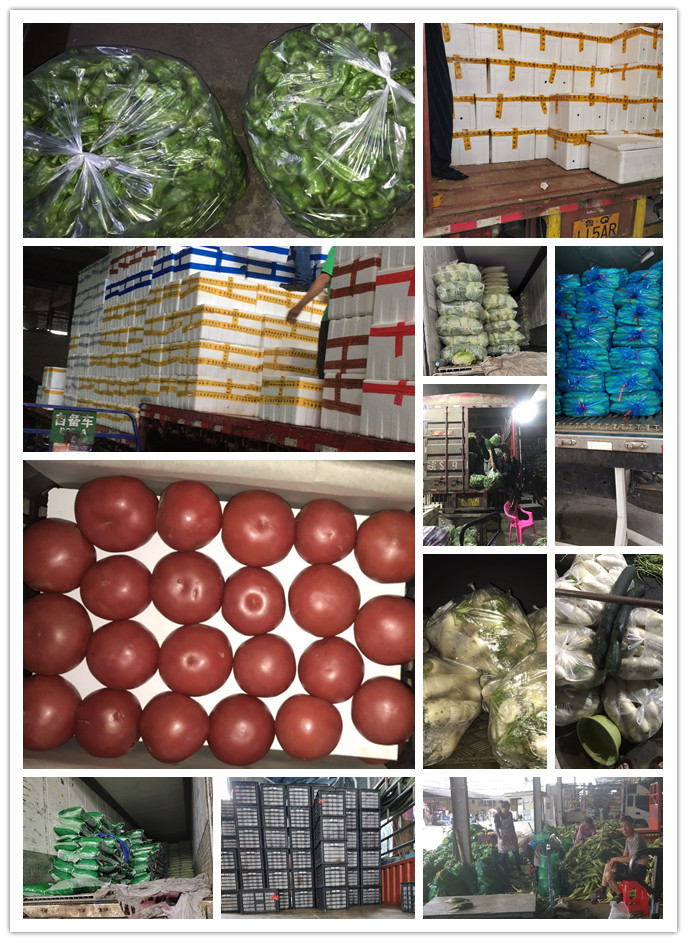 南宫电竞-不凡成就非凡,相信品牌的力量