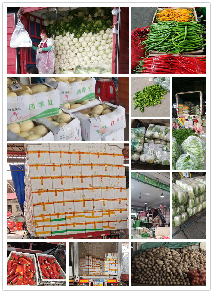 南宫电竞-不凡成就非凡,相信品牌的力量
