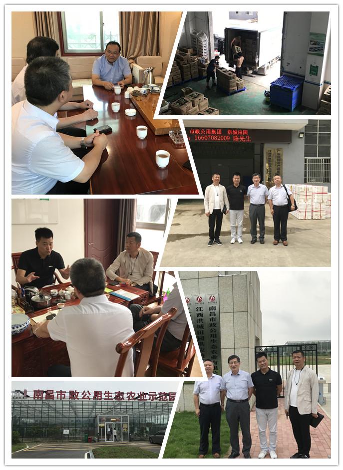 南宫电竞-不凡成就非凡,相信品牌的力量