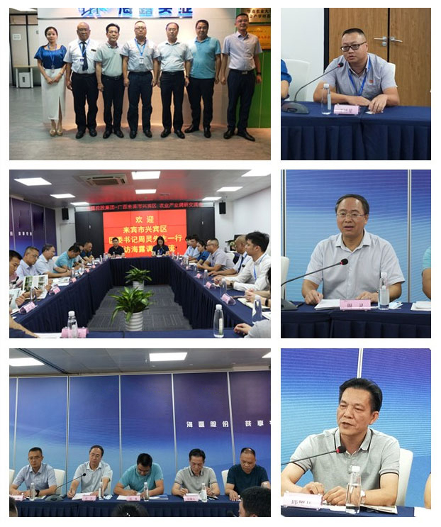 南宫电竞-不凡成就非凡,相信品牌的力量