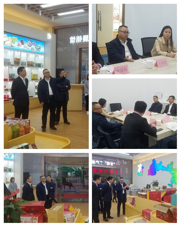 南宫电竞-不凡成就非凡,相信品牌的力量