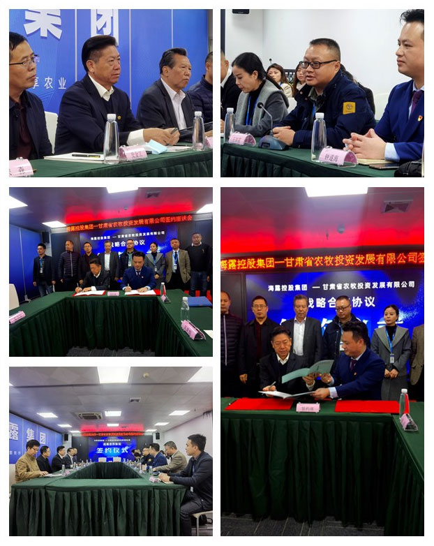 南宫电竞-不凡成就非凡,相信品牌的力量
