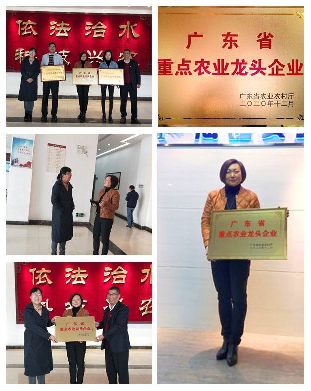 南宫电竞-不凡成就非凡,相信品牌的力量