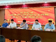 集团党支部参与东漖街路加强基层党组织建设工作暨党史进建教育推动会