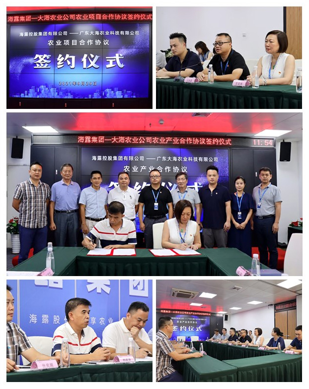 南宫电竞-不凡成就非凡,相信品牌的力量