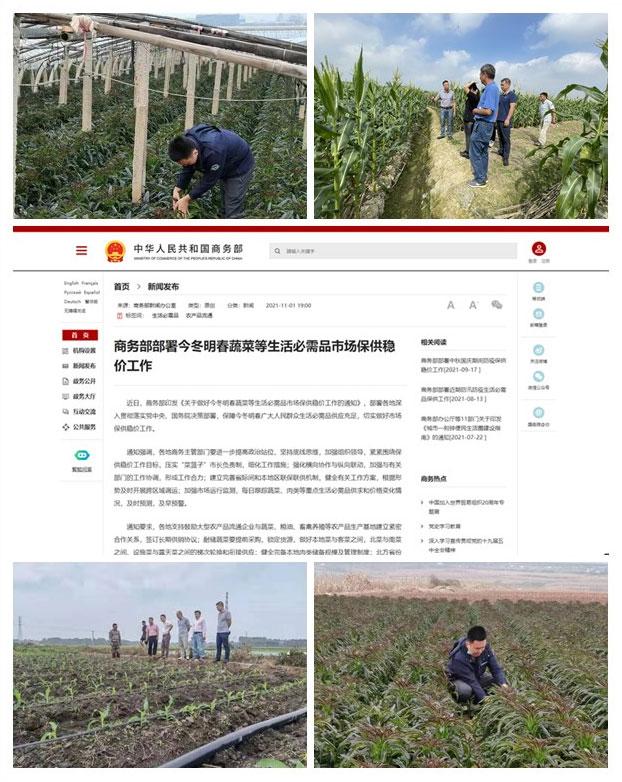 南宫电竞-不凡成就非凡,相信品牌的力量