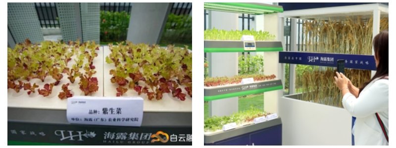 1-23042QK95U62 南宫电竞-不凡成就非凡,相信品牌的力量
