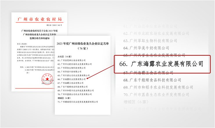 1-23120GS941164 南宫电竞-不凡成就非凡,相信品牌的力量