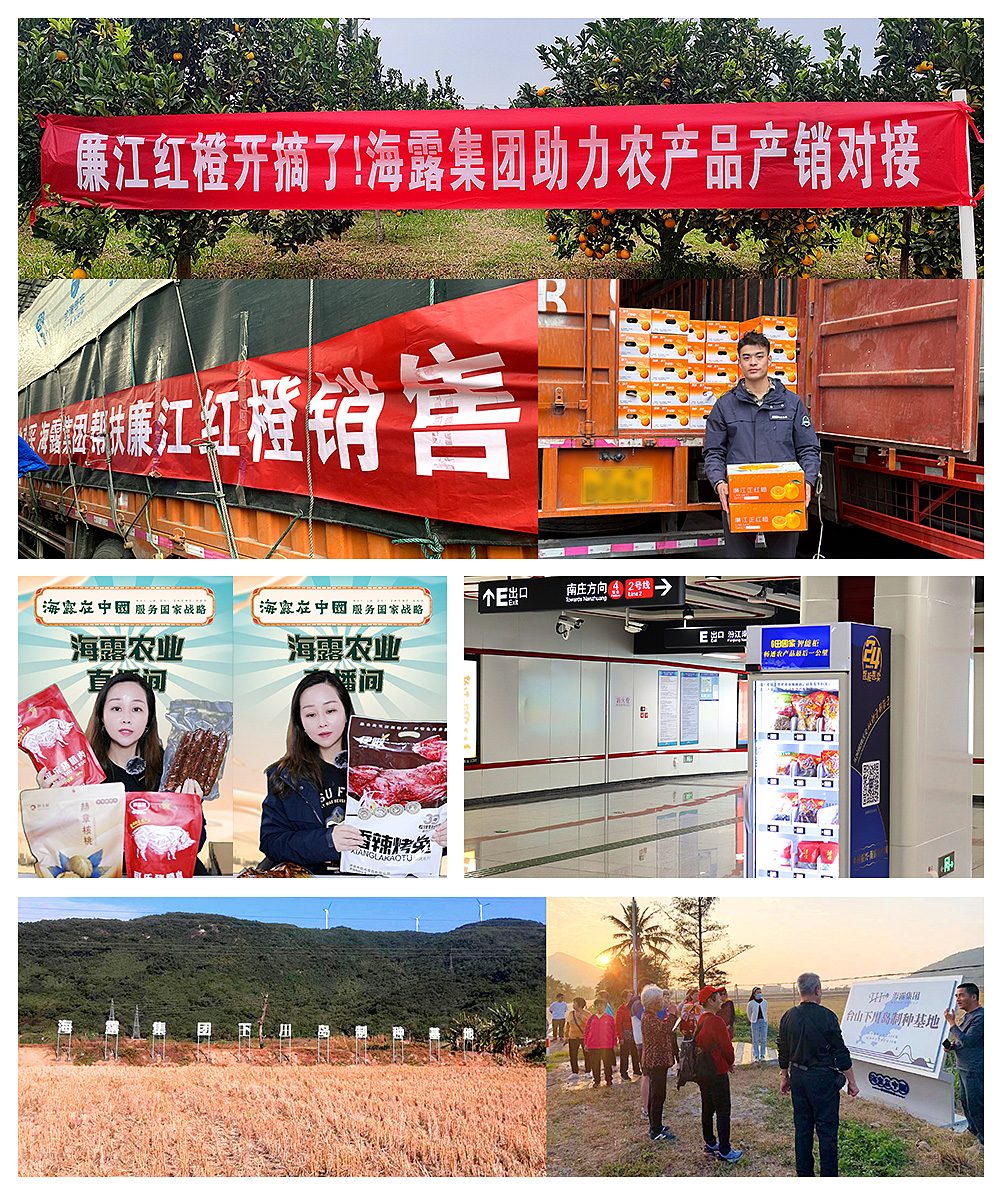 1-2401031QG3L6 南宫电竞-不凡成就非凡,相信品牌的力量