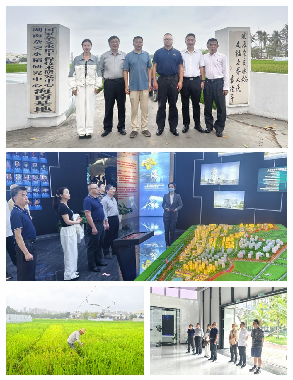 1-24031P93210I4 南宫电竞-不凡成就非凡,相信品牌的力量