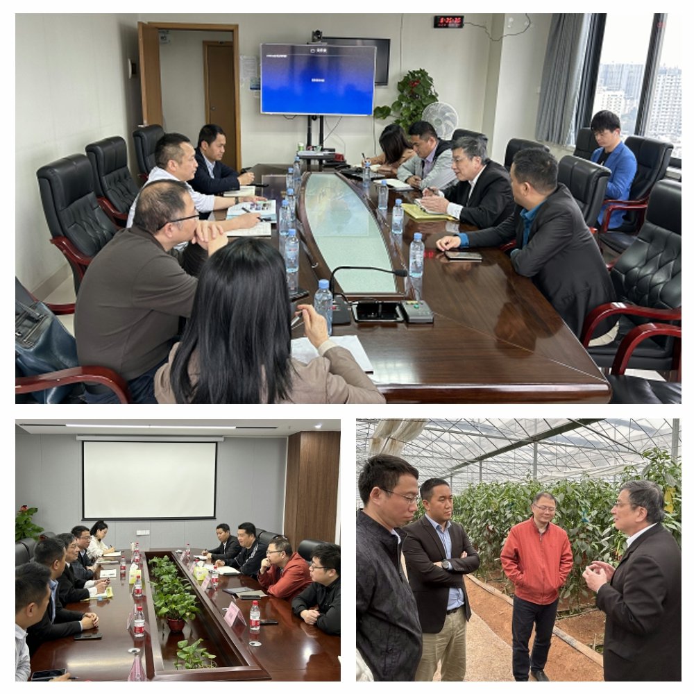 南宫电竞-不凡成就非凡,相信品牌的力量