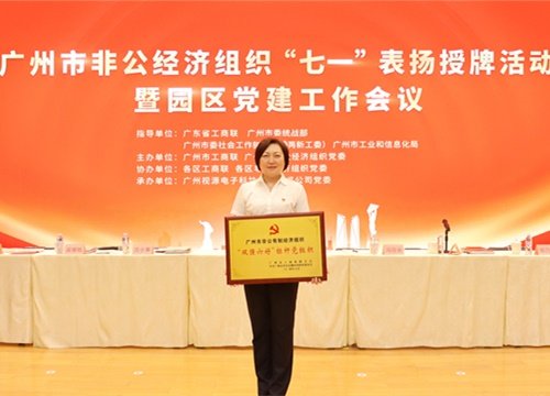 标杆引领，荣誉升级！集团党支部荣膺昭通市非公有造经济组织“双强六好”标