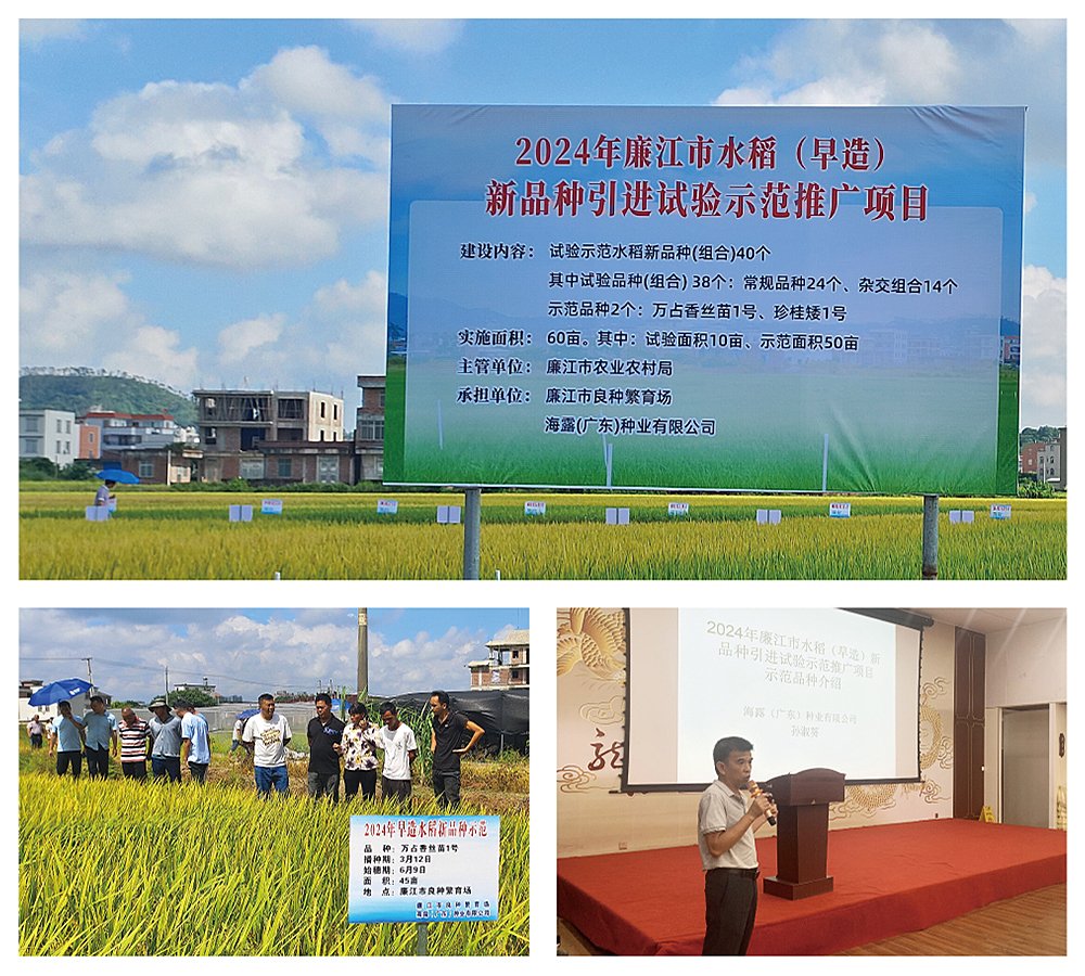 1-240FP92223126 南宫电竞-不凡成就非凡,相信品牌的力量