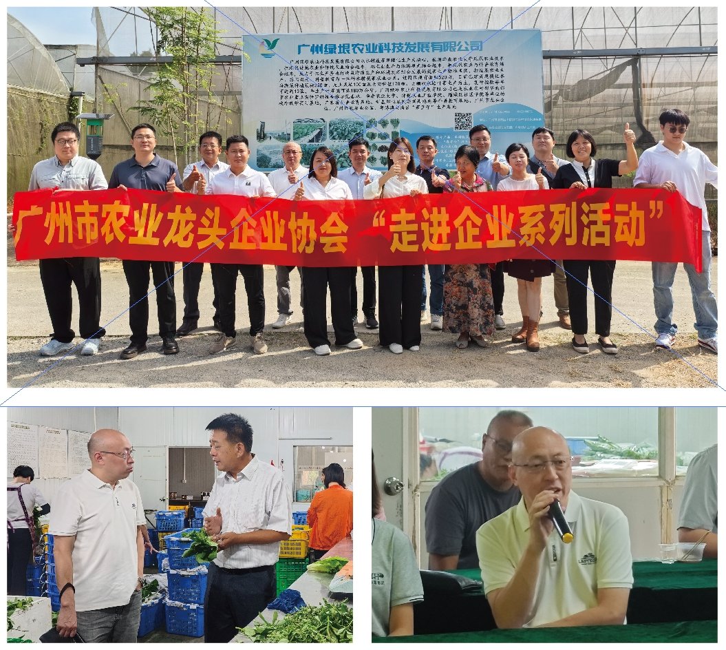 1-24101Q42051T1 南宫电竞-不凡成就非凡,相信品牌的力量
