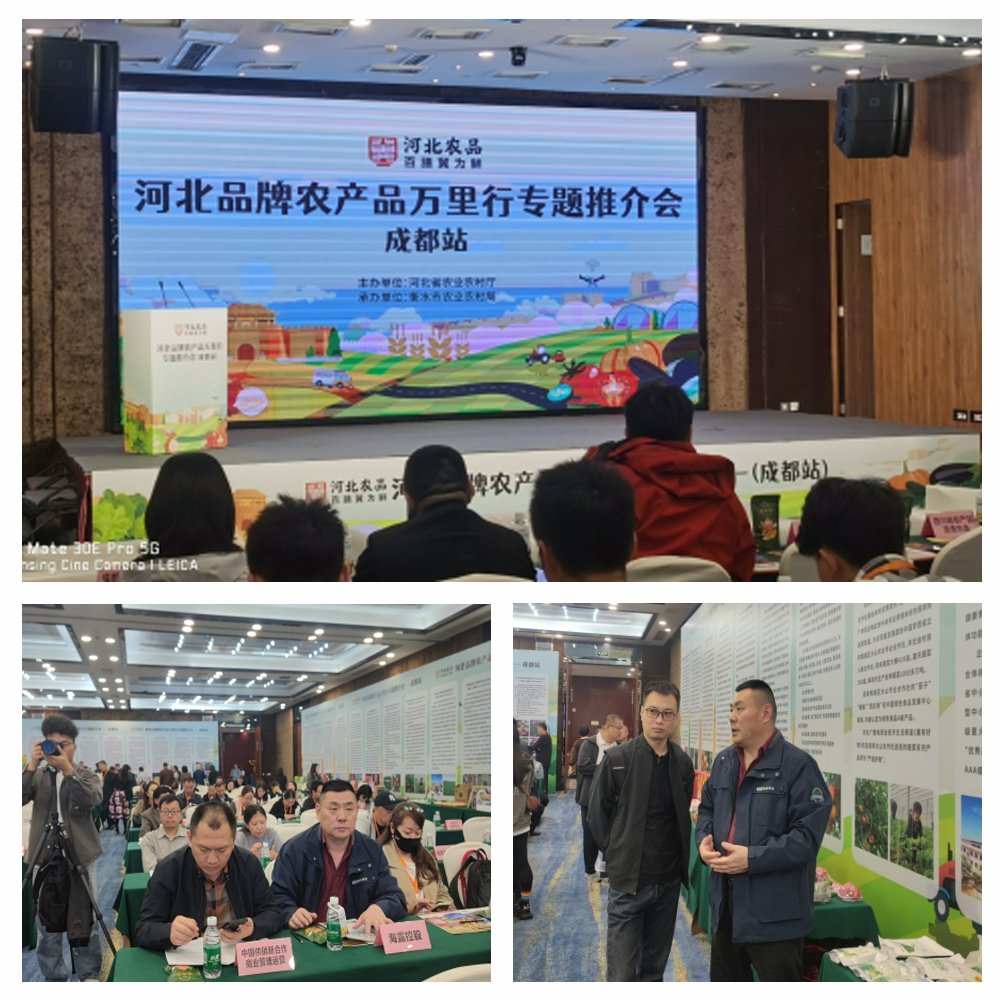 1-24102416292DM 南宫电竞-不凡成就非凡,相信品牌的力量