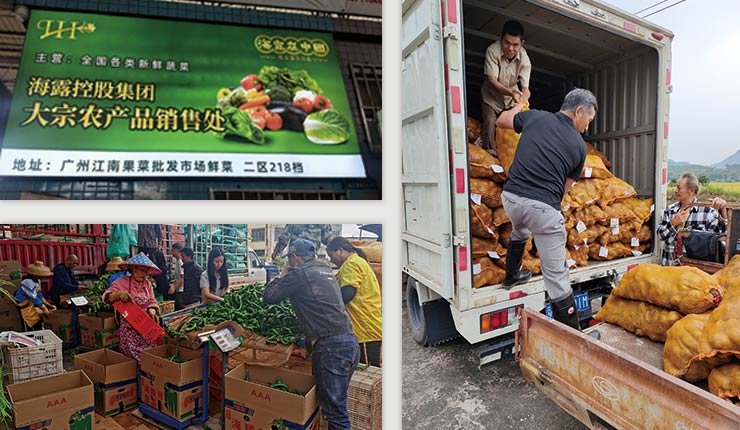 南宫电竞-不凡成就非凡,相信品牌的力量