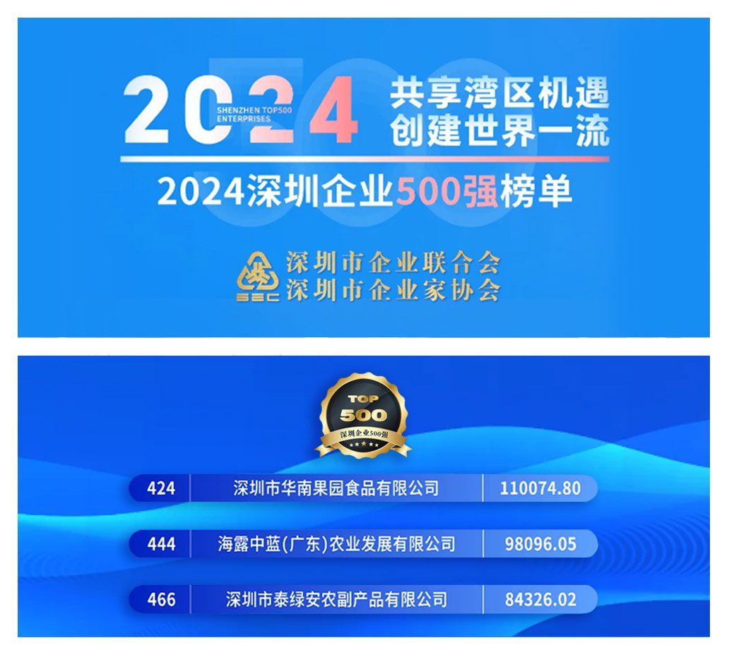1-241220141S4940 南宫电竞-不凡成就非凡,相信品牌的力量