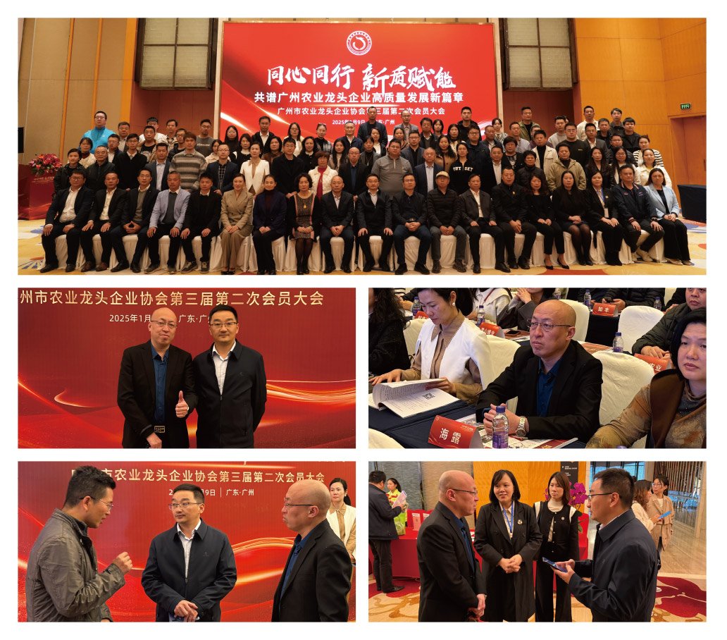 南宫电竞-不凡成就非凡,相信品牌的力量