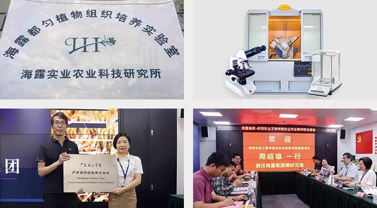 南宫电竞-不凡成就非凡,相信品牌的力量