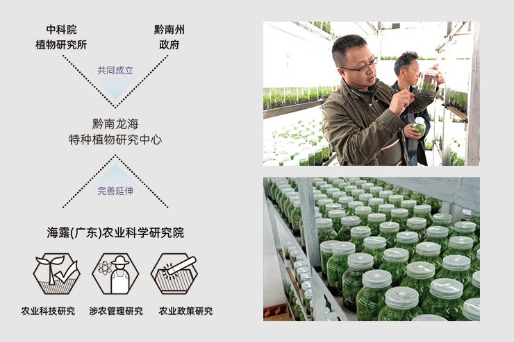 南宫电竞-不凡成就非凡,相信品牌的力量