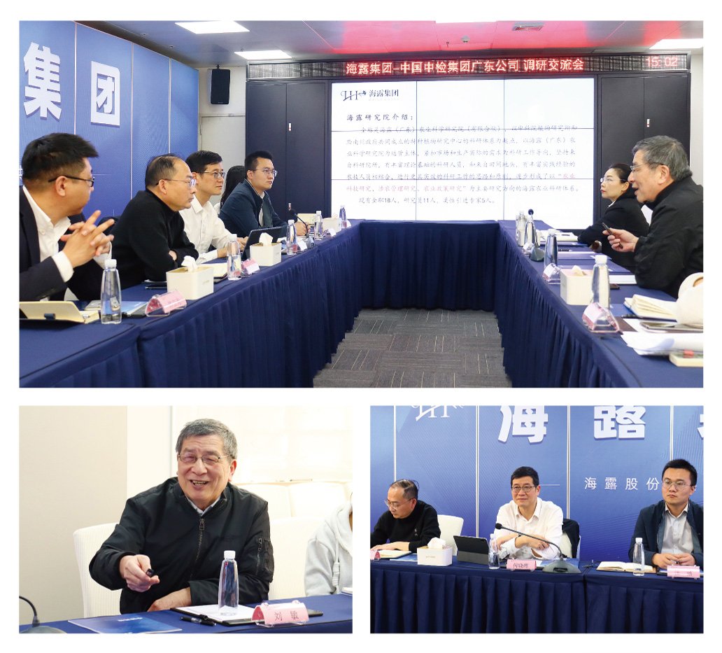 1-25021Q5245RQ 南宫电竞-不凡成就非凡,相信品牌的力量