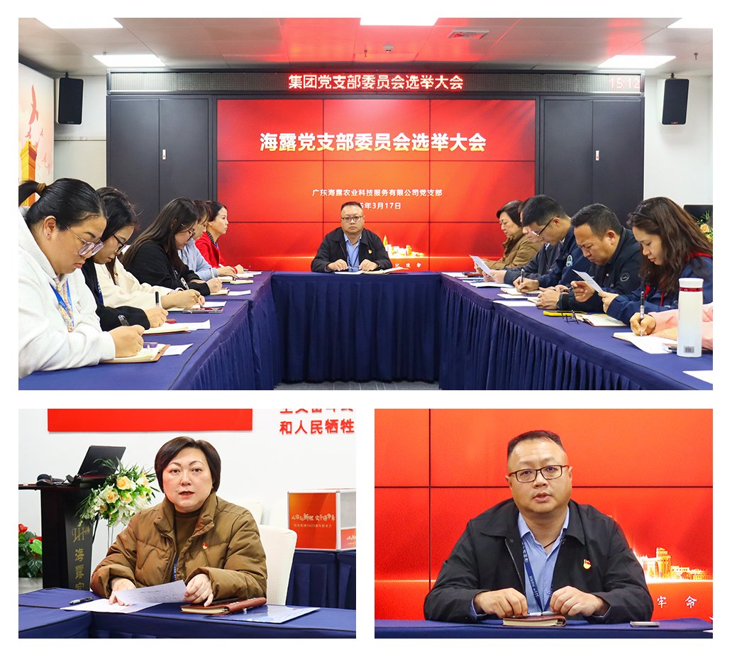 南宫电竞-不凡成就非凡,相信品牌的力量