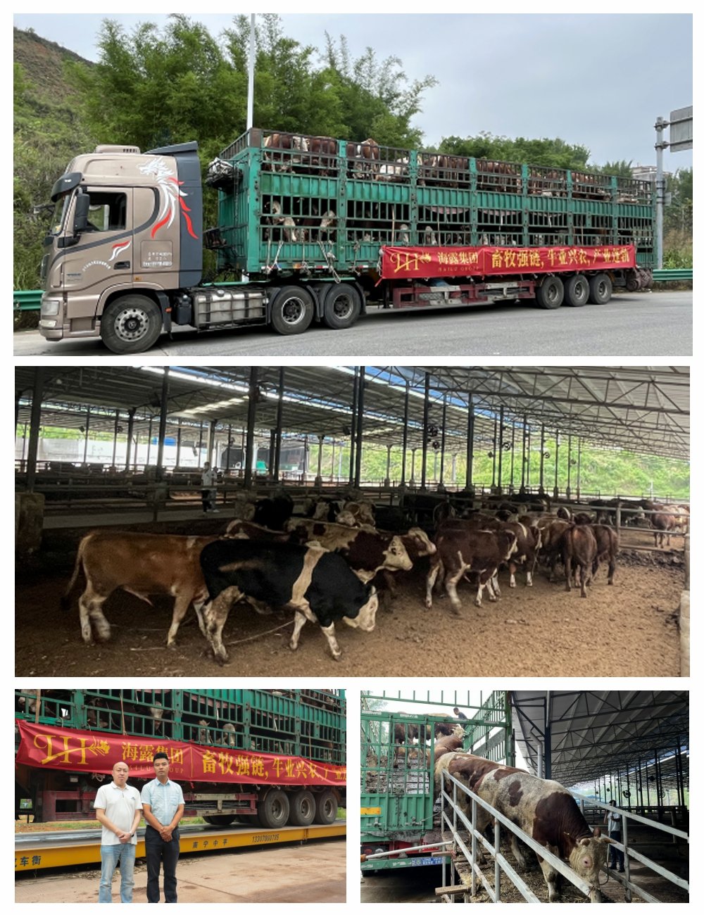 1-25052P9411LK 南宫电竞-不凡成就非凡,相信品牌的力量