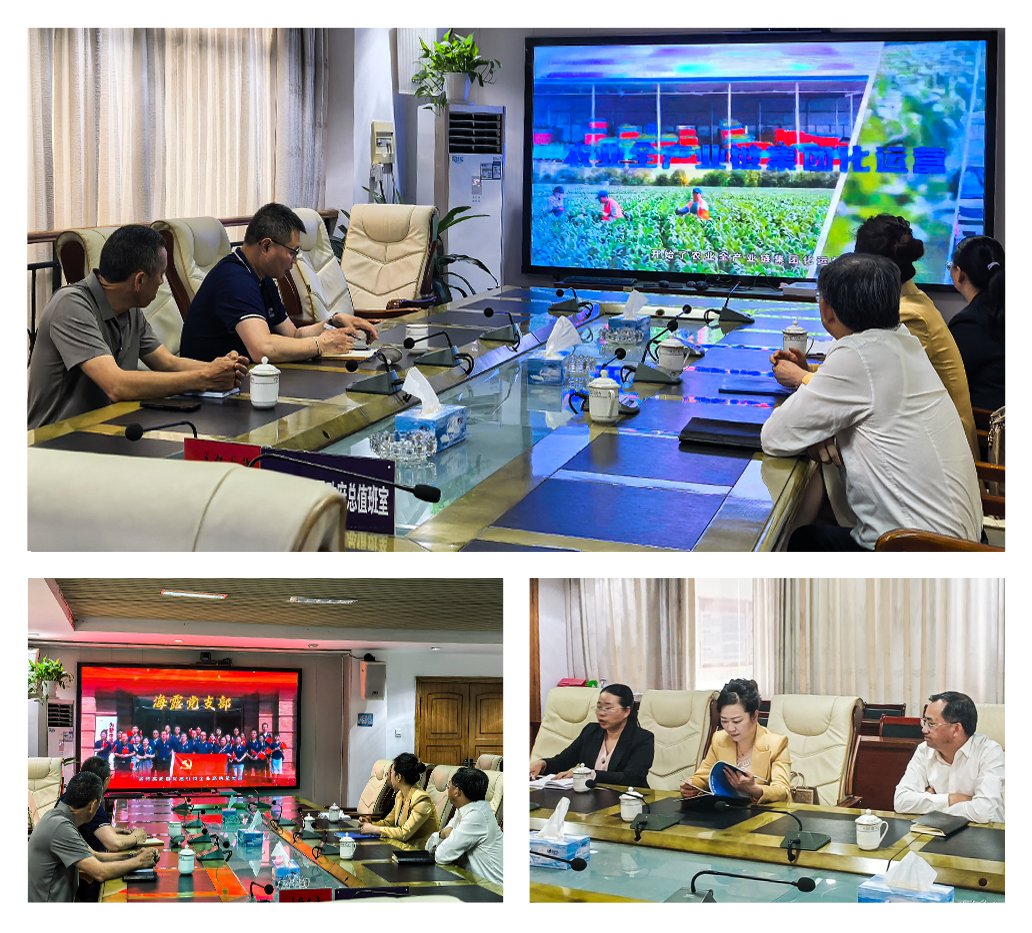 南宫电竞-不凡成就非凡,相信品牌的力量