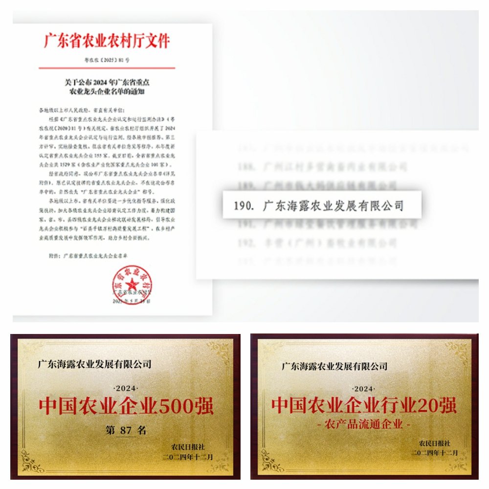 1-2506051411103H 南宫电竞-不凡成就非凡,相信品牌的力量