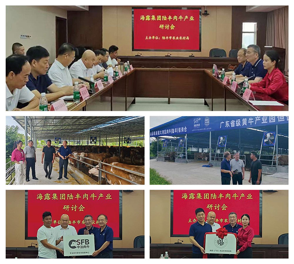 南宫电竞-不凡成就非凡,相信品牌的力量