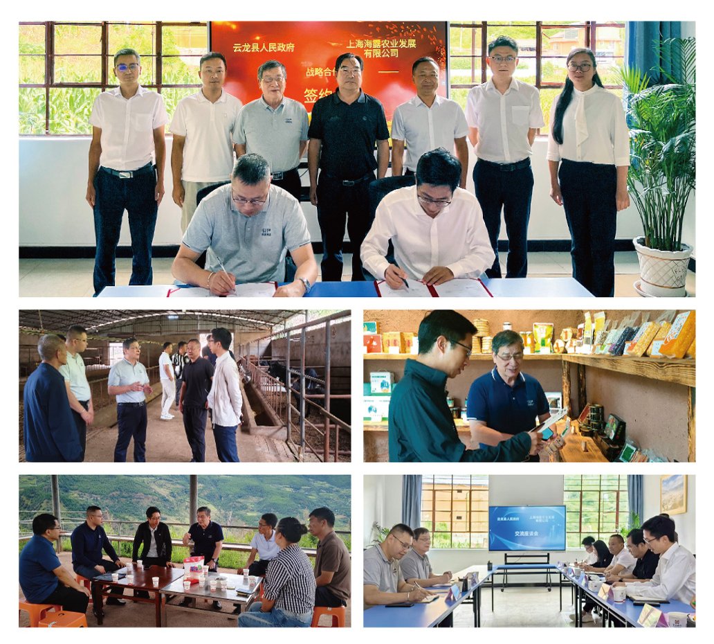 南宫电竞-不凡成就非凡,相信品牌的力量