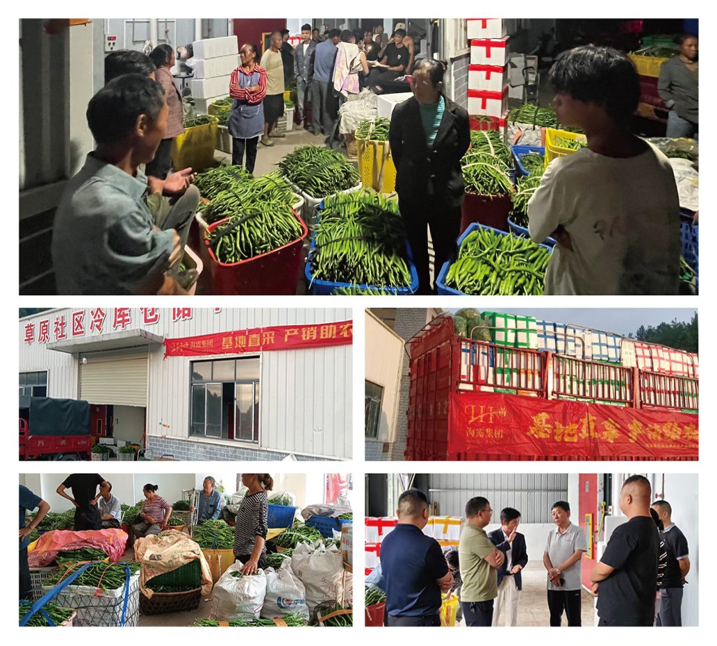 南宫电竞-不凡成就非凡,相信品牌的力量