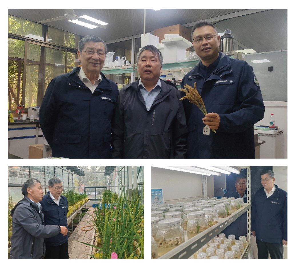 南宫电竞-不凡成就非凡,相信品牌的力量